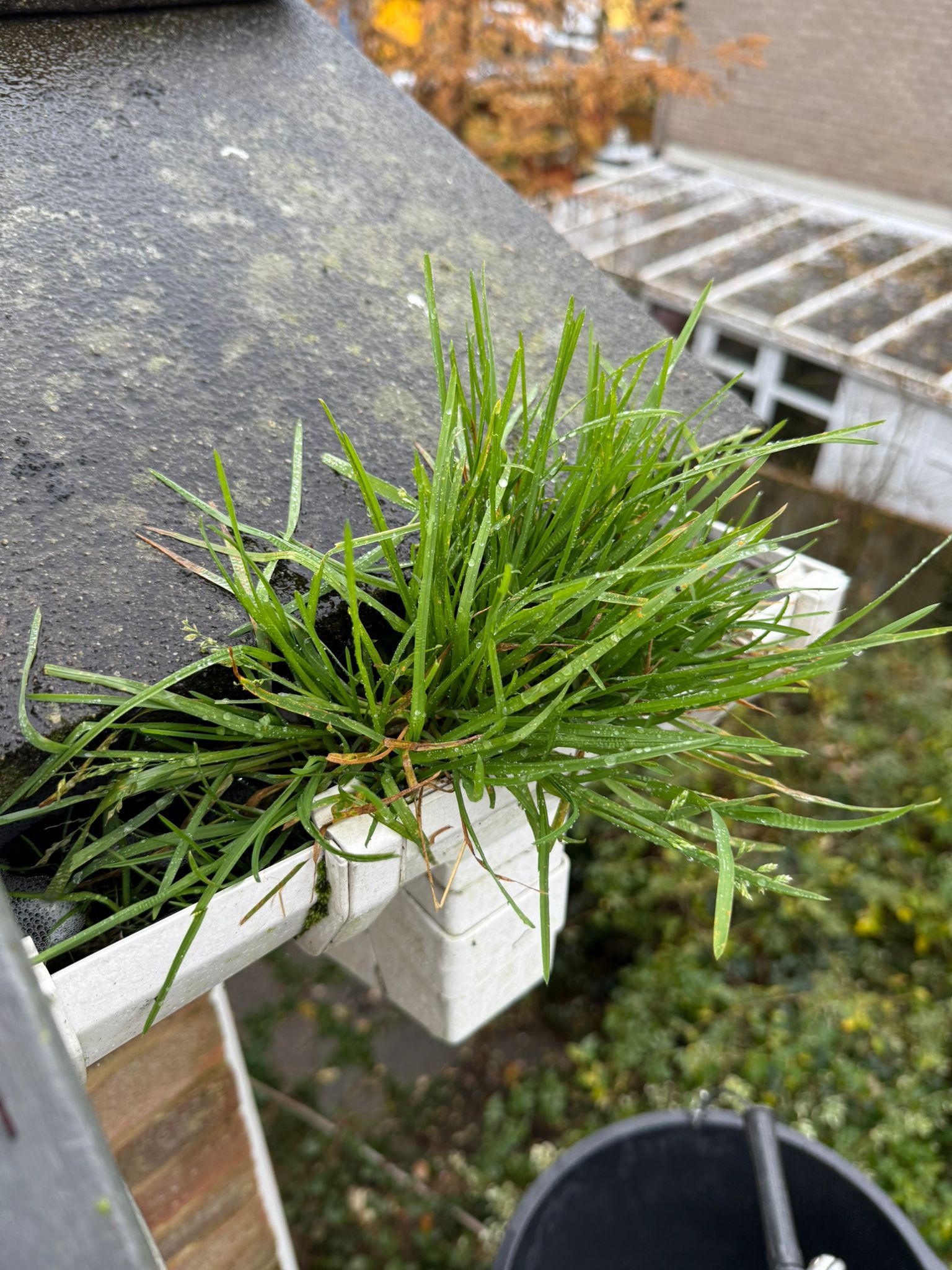 Blocked gutter downpipe in Hounslow